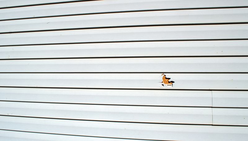 Repair Work on Damaged Siding