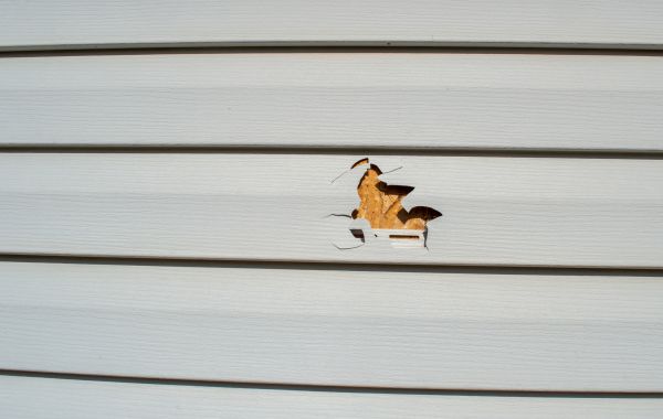 Cost of Siding Hole Repair in Hilliard